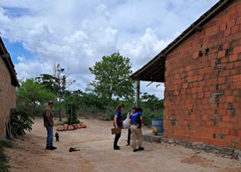 ANIMAIS DOMÉSTICOS SÃO ENCONTRADOS MORTOS NA ZONA RURAL DE ITABAIANA COM SUSPEITA DE ENVENENAMENTO