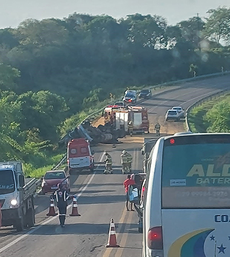 Caminhão Com Carga De Milho Em Grão Tomba Na Br 235 Após Motorista Ser Atacado Por Abelhas